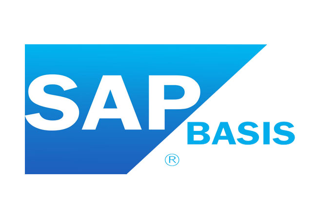 SAP R3 BASIS